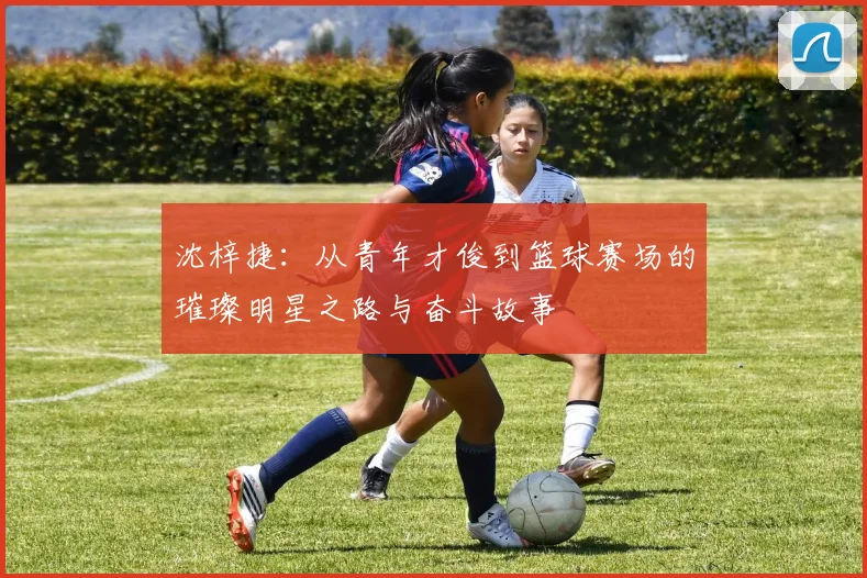 沈梓捷：从青年才俊到篮球赛场的璀璨明星之路与奋斗故事