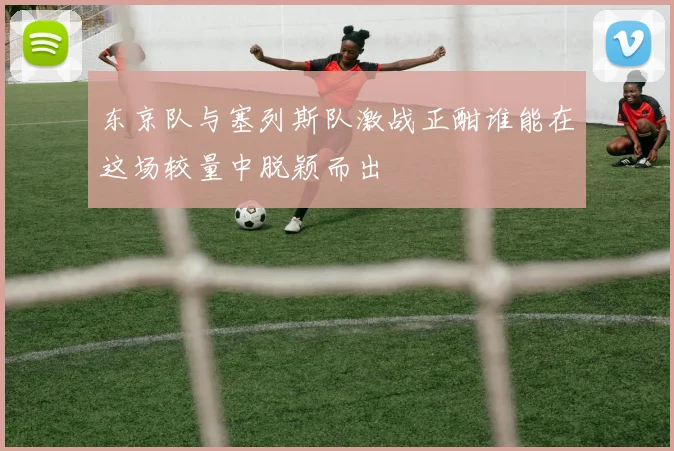 东京队与塞列斯队激战正酣谁能在这场较量中脱颖而出