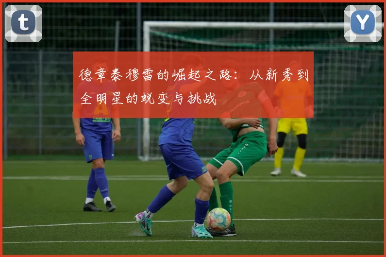 德章泰穆雷的崛起之路：从新秀到全明星的蜕变与挑战