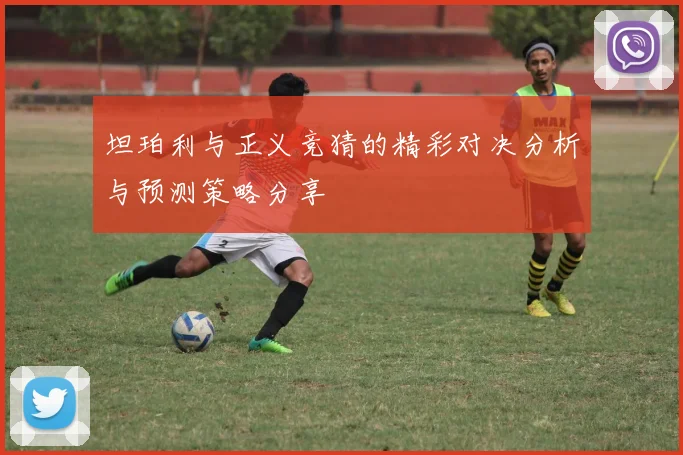 坦珀利与正义竞猜的精彩对决分析与预测策略分享